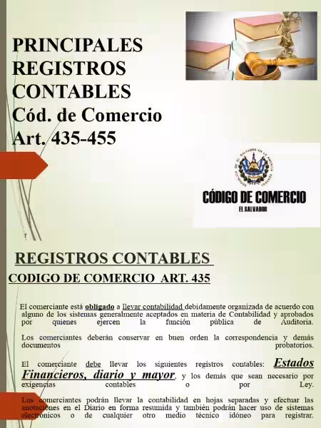 ¿Qué son los Registros Contables y Por Qué Son Importantes? ¿Qué son los Registros Contables y Por Qué Son Importantes?