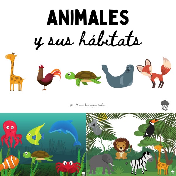 animales-en-sus-habitats