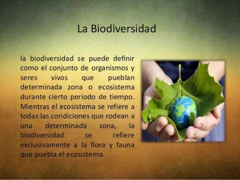 biodiversitat-definicio