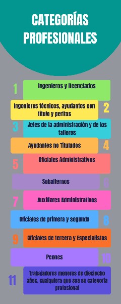 categoria-profesional