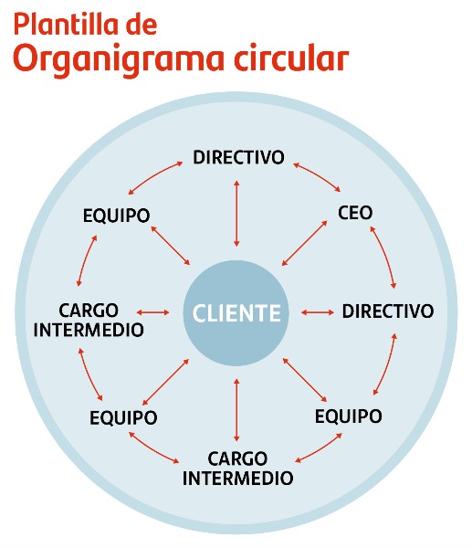 circular-organigrama