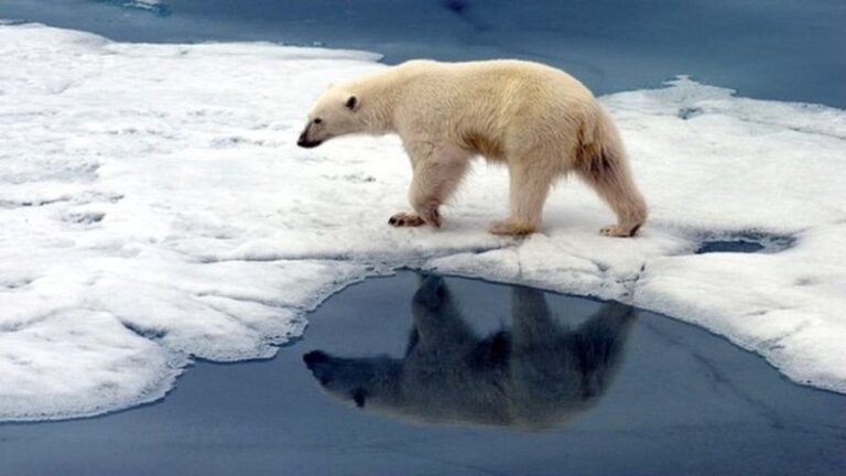 como-afecta-el-cambio-climatico-la-vida-de-los-humanos