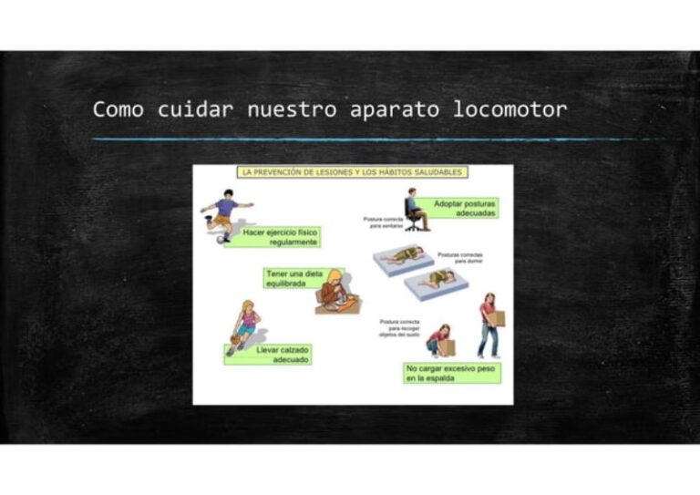 El Cuidado del Aparato Locomotor: Guía Definitiva para Mantenerte