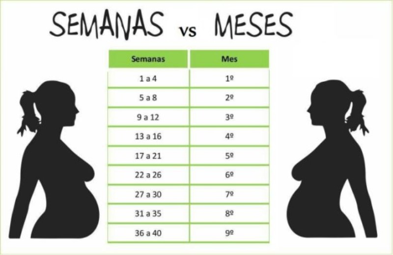 cuantas-semanas-tiene-6-meses
