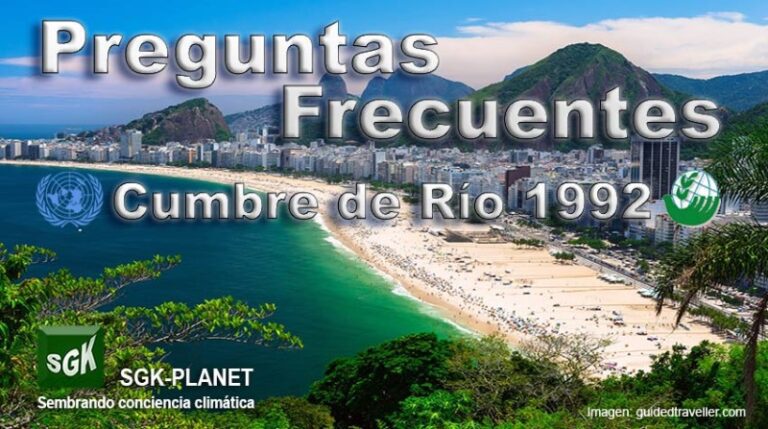 declaracion-de-principios-relativos-a-los-bosques