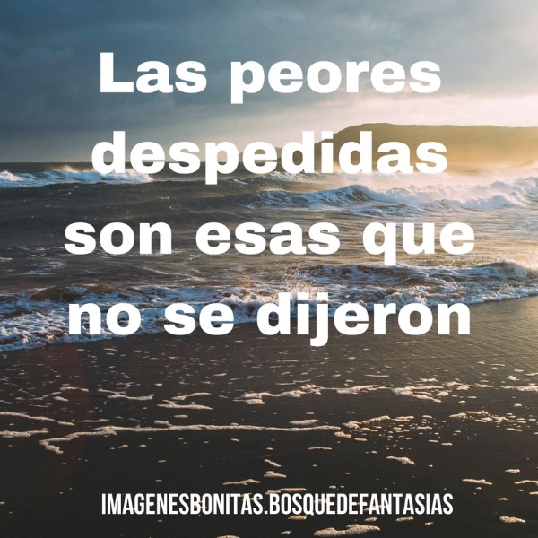 despedirse-frases