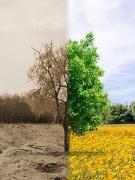 efectos-del-uso-irracional-de-los-recursos-naturales