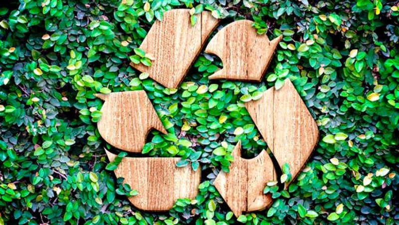 empresas-ecologicas