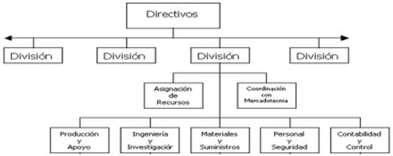 estructuras-divisionales