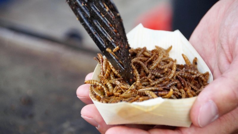 etiquetado-de-alimentos-que-contienen-insectos