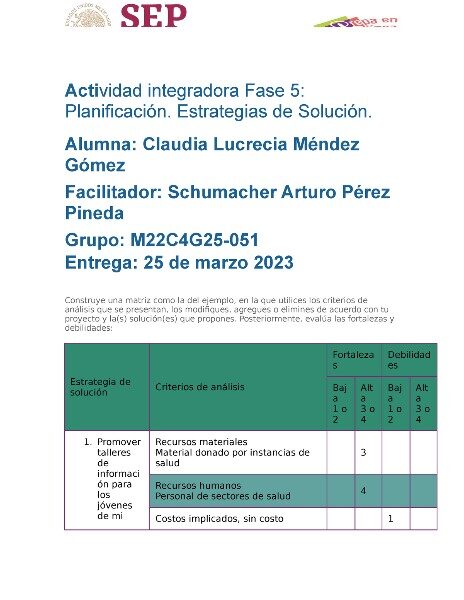 fase-5-planificacion-estrategias-de-solucion