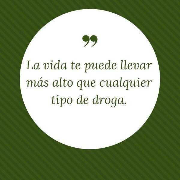 frases-para-evitar-las-drogas
