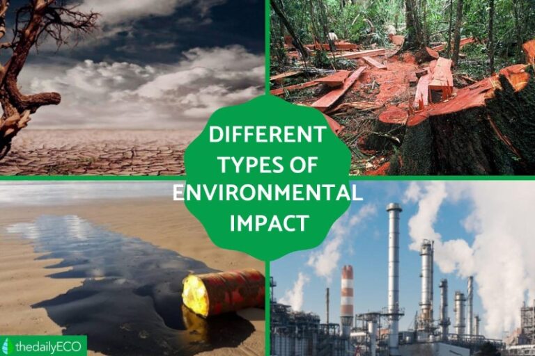 impacto-ambiental-persistente