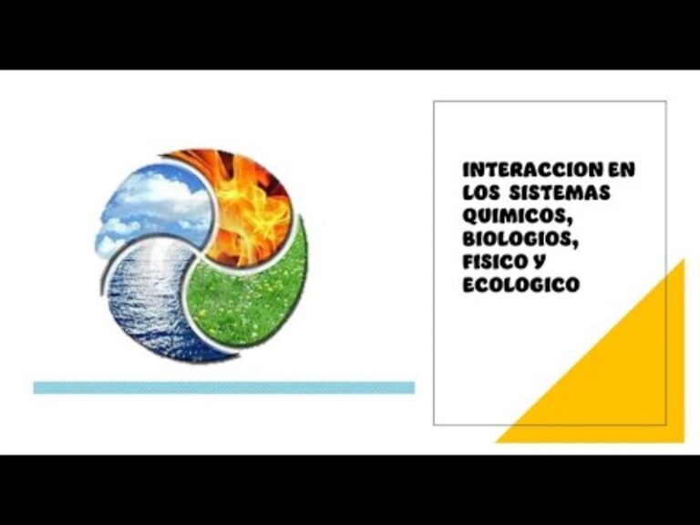 interaccion-en-los-sistemas-quimicos-biologicos-fisicos-y-ecologicos