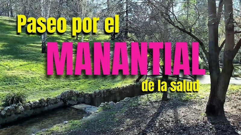 manantial-de-la-salud-del-arroyo