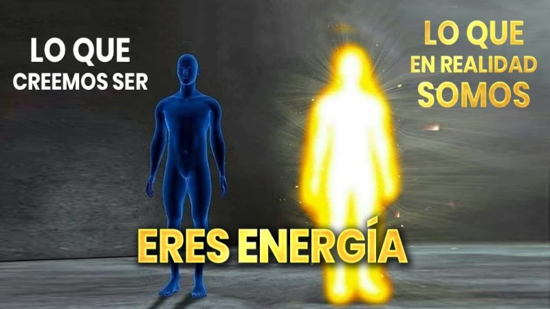 organismo-que-necesita-mucha-luz-para-vivir