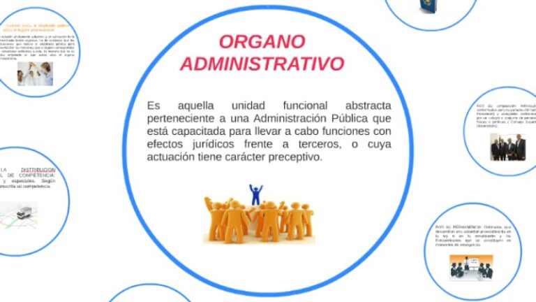 organo-administrativo