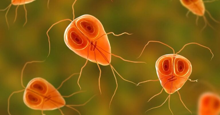 parasitos-caracteristicas