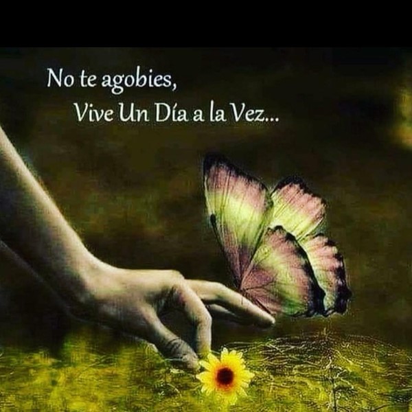 q-significa-un-dia-a-la-vez