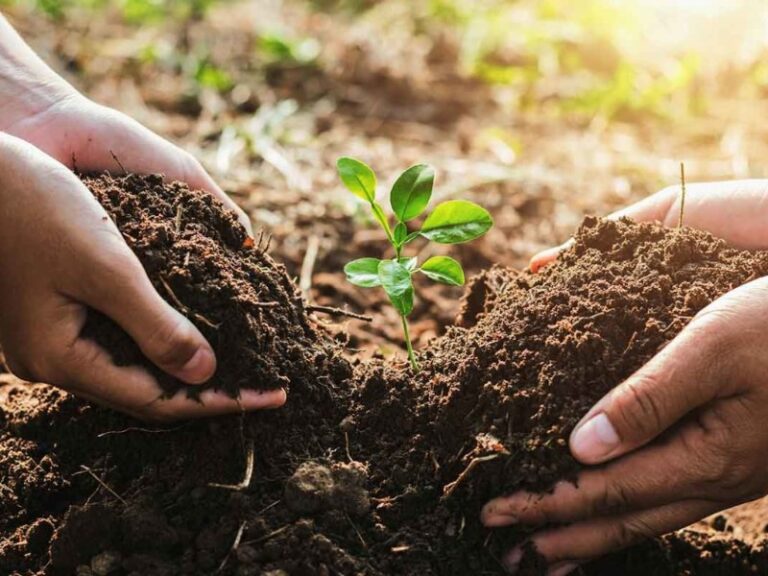 que-acciones-ayudan-a-mantener-la-higiene-de-los-alimentos