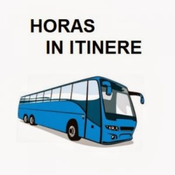 que-significa-in-itinere