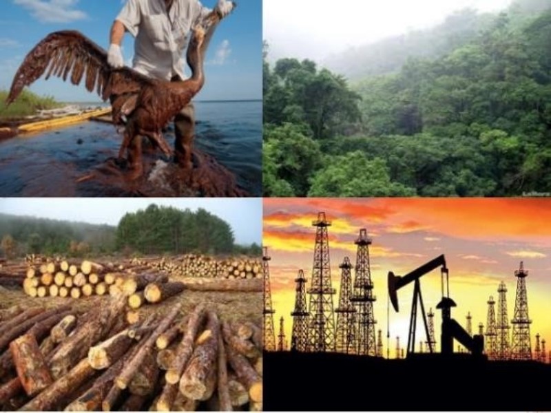 sobre-explotacion-de-recursos-naturales