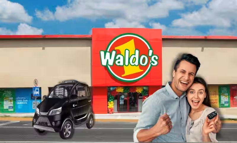 carros-de-waldos