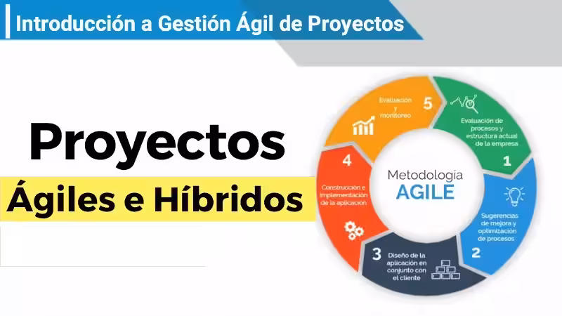 ciclo-de-vida-de-un-proyecto