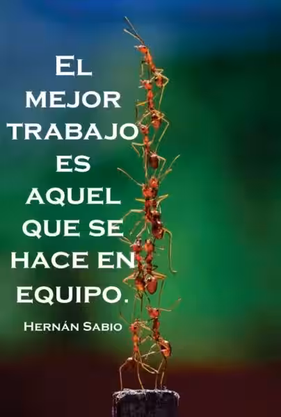 frases-trabajo-equipo