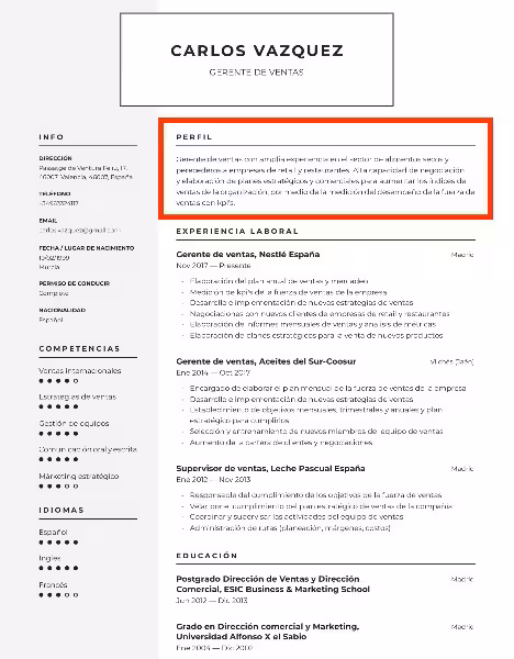 perfil-profesional-ejemplos